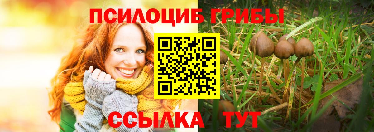 Псилоцибиновые грибы прущие грибы  Псилоцибиновые грибы Cubensis  Вход с VPN  Шумерля 